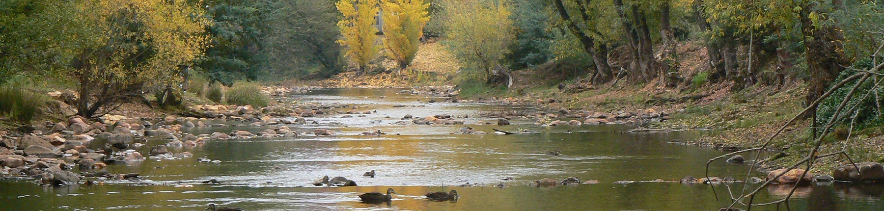 10 The Ovens River at the end of the street
